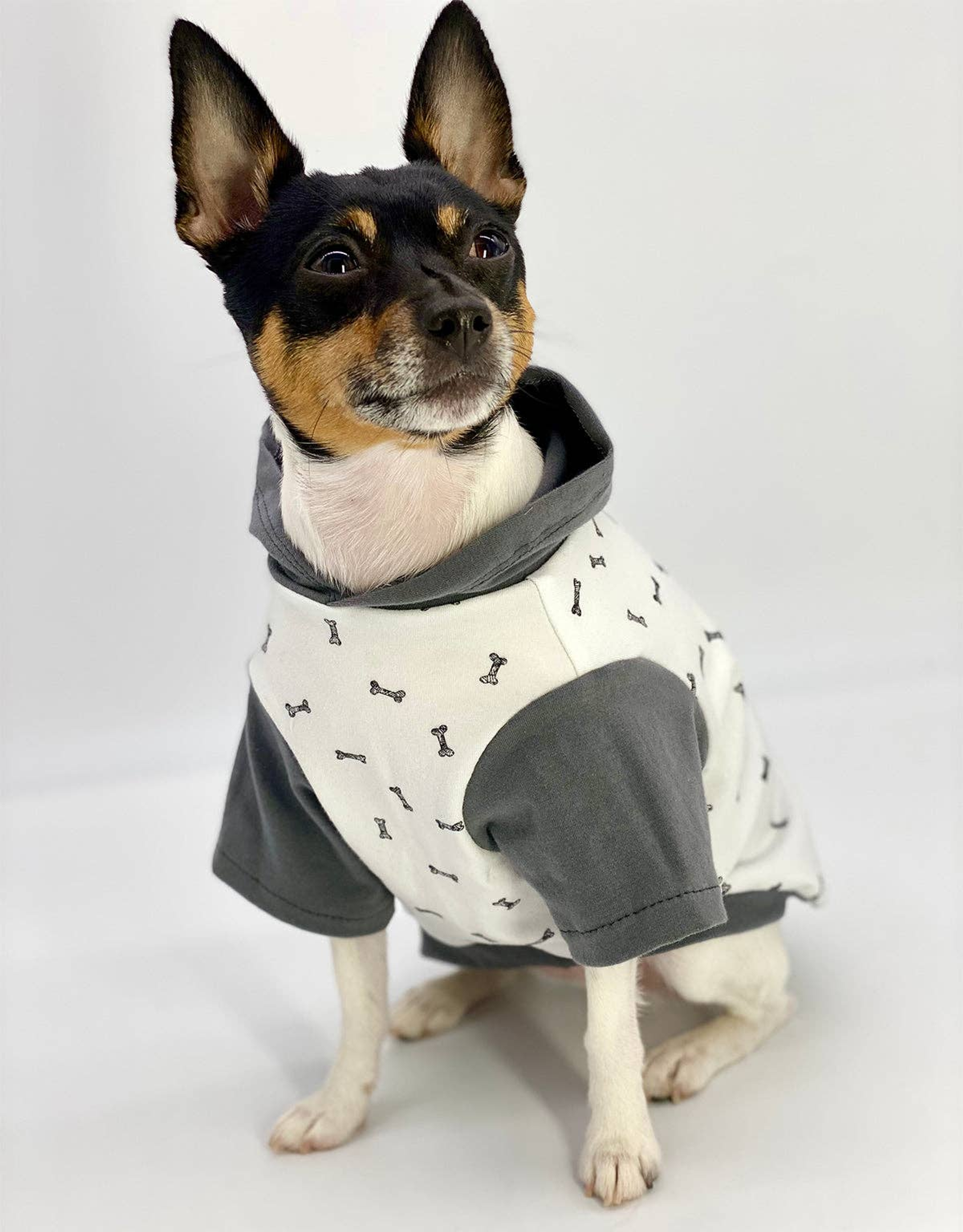 DCNY Wag And Bone Colorblock Hoodie Image 1